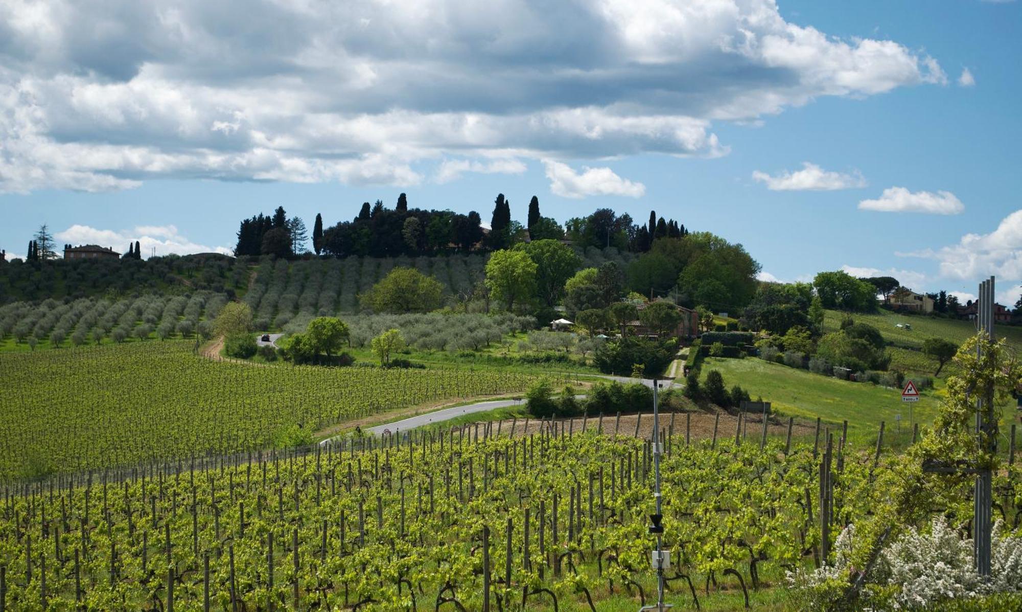 Villa Il Castagno Wine & Resort Siena Exterior foto